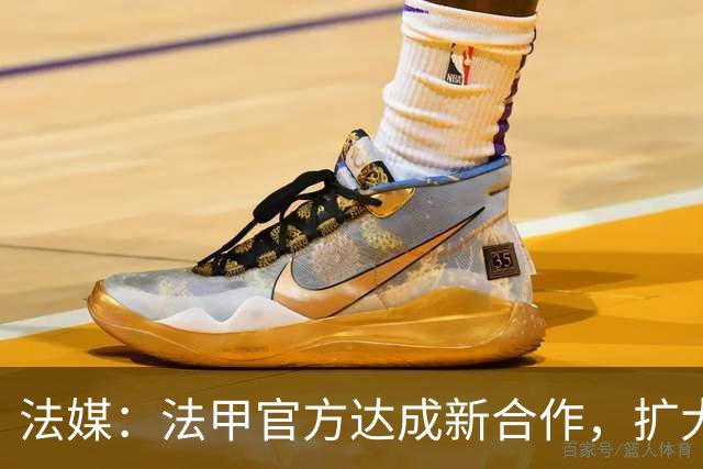 法媒：法甲官方达成新合作，扩大酒吧等公共场所转播